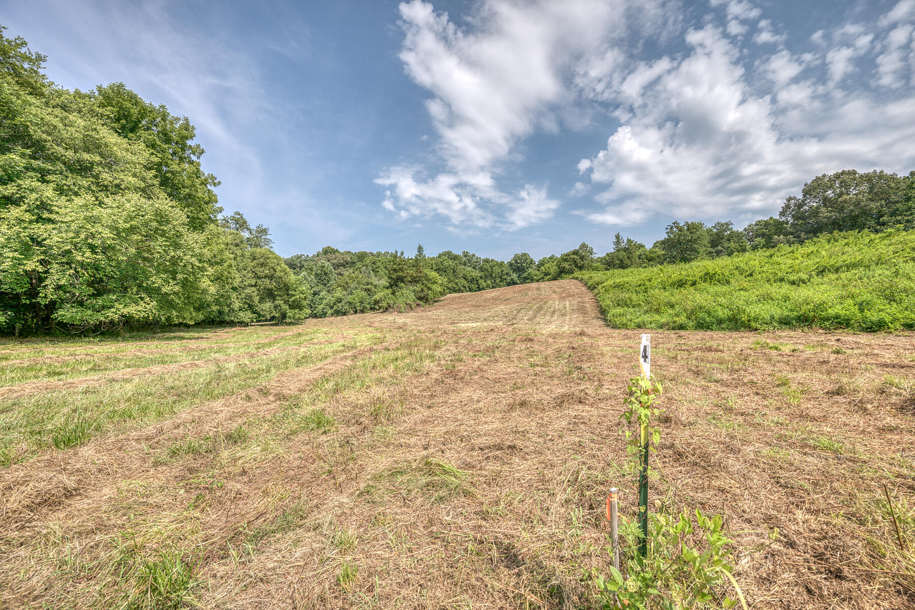 Tbd Gregg Mill Road Greeneville, TN 37743 - Photo 26 of 39 TBD Gregg Mill Rd 16