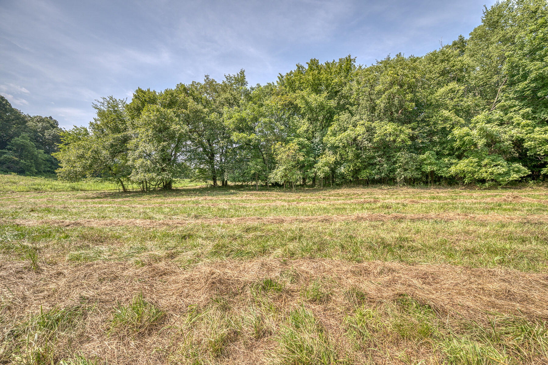 Tbd Gregg Mill Road Greeneville, TN 37743 - Photo 27 of 39 TBD Gregg Mill Rd 17