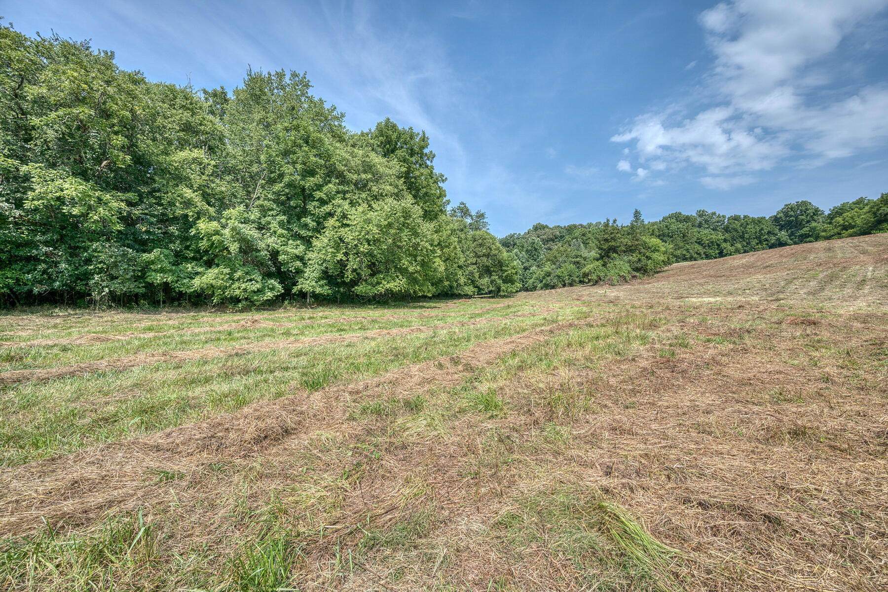 Tbd Gregg Mill Road Greeneville, TN 37743 - Photo 28 of 39 TBD Gregg Mill Rd 18