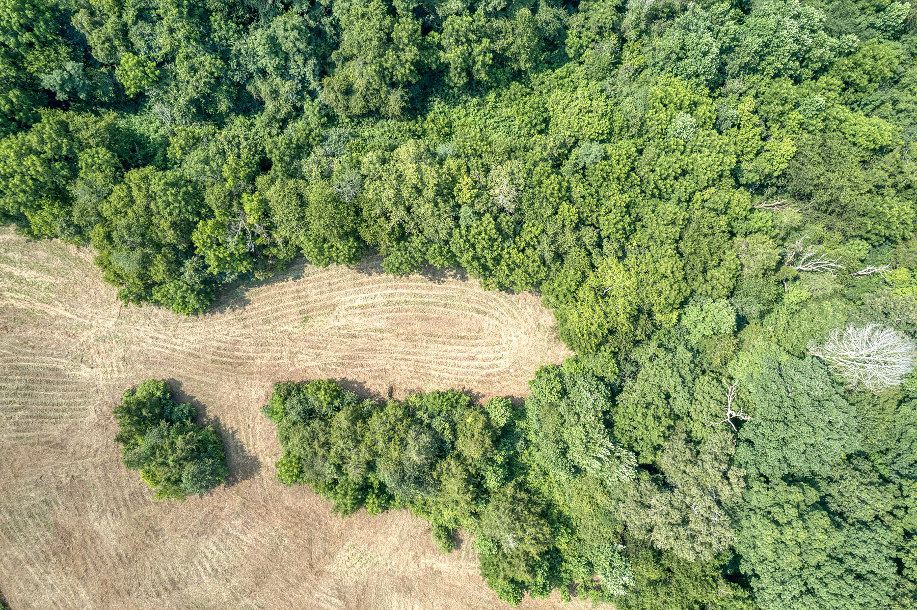 Tbd Gregg Mill Road Greeneville, TN 37743 - Photo 31 of 39 TBD Gregg Mill Rd 21