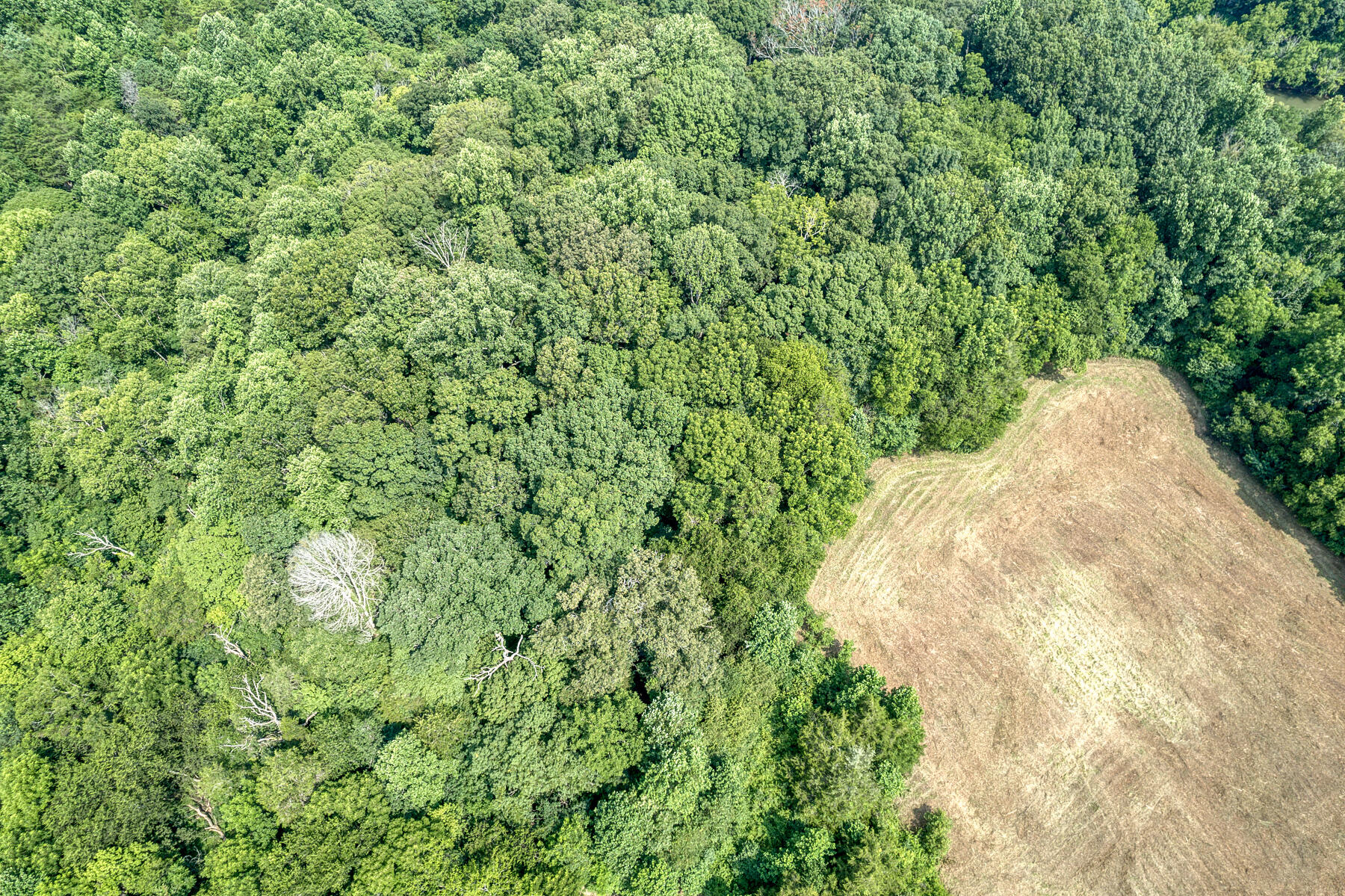 Tbd Gregg Mill Road Greeneville, TN 37743 - Photo 33 of 39 TBD Gregg Mill Rd 23