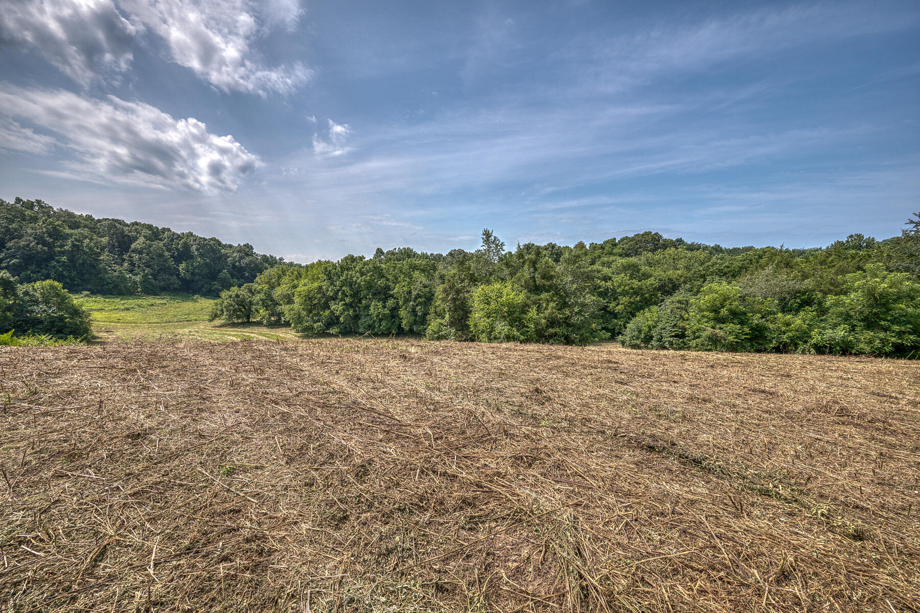 Tbd Gregg Mill Road Greeneville, TN 37743 - Photo 35 of 39 TBD Gregg Mill Rd 25