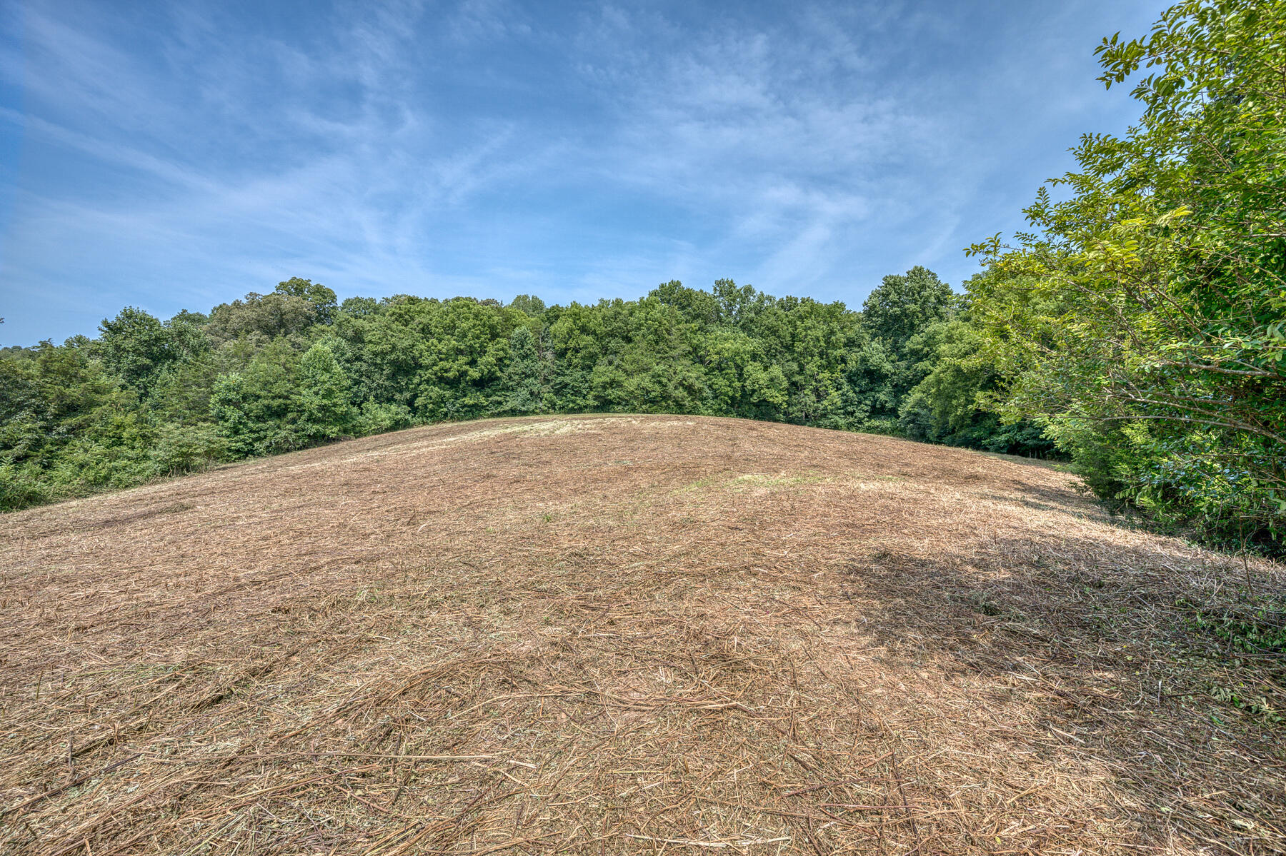 Tbd Gregg Mill Road Greeneville, TN 37743 - Photo 36 of 39 TBD Gregg Mill Rd 26