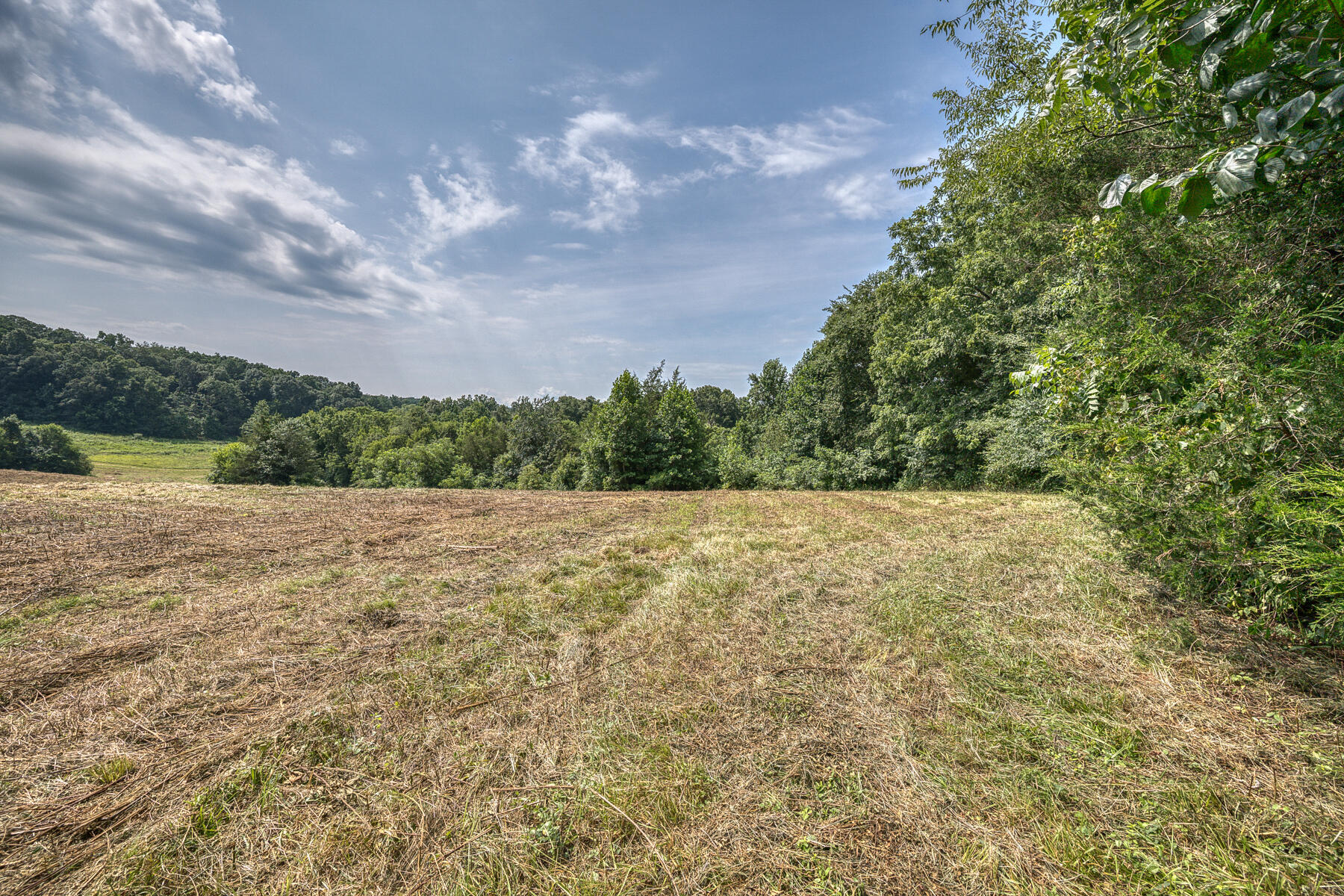 Tbd Gregg Mill Road Greeneville, TN 37743 - Photo 37 of 39 TBD Gregg Mill Rd 27