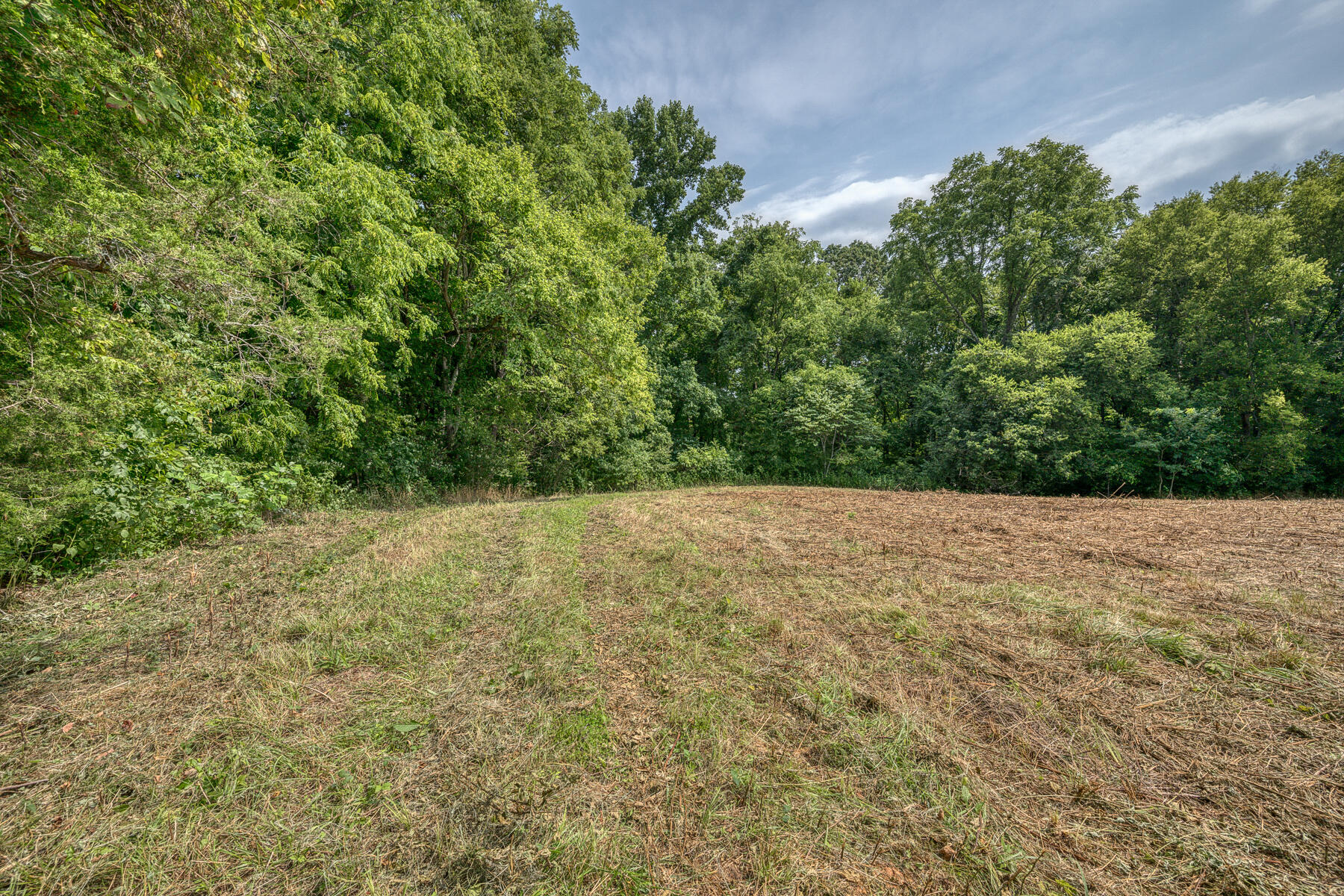 Tbd Gregg Mill Road Greeneville, TN 37743 - Photo 38 of 39 TBD Gregg Mill Rd 28