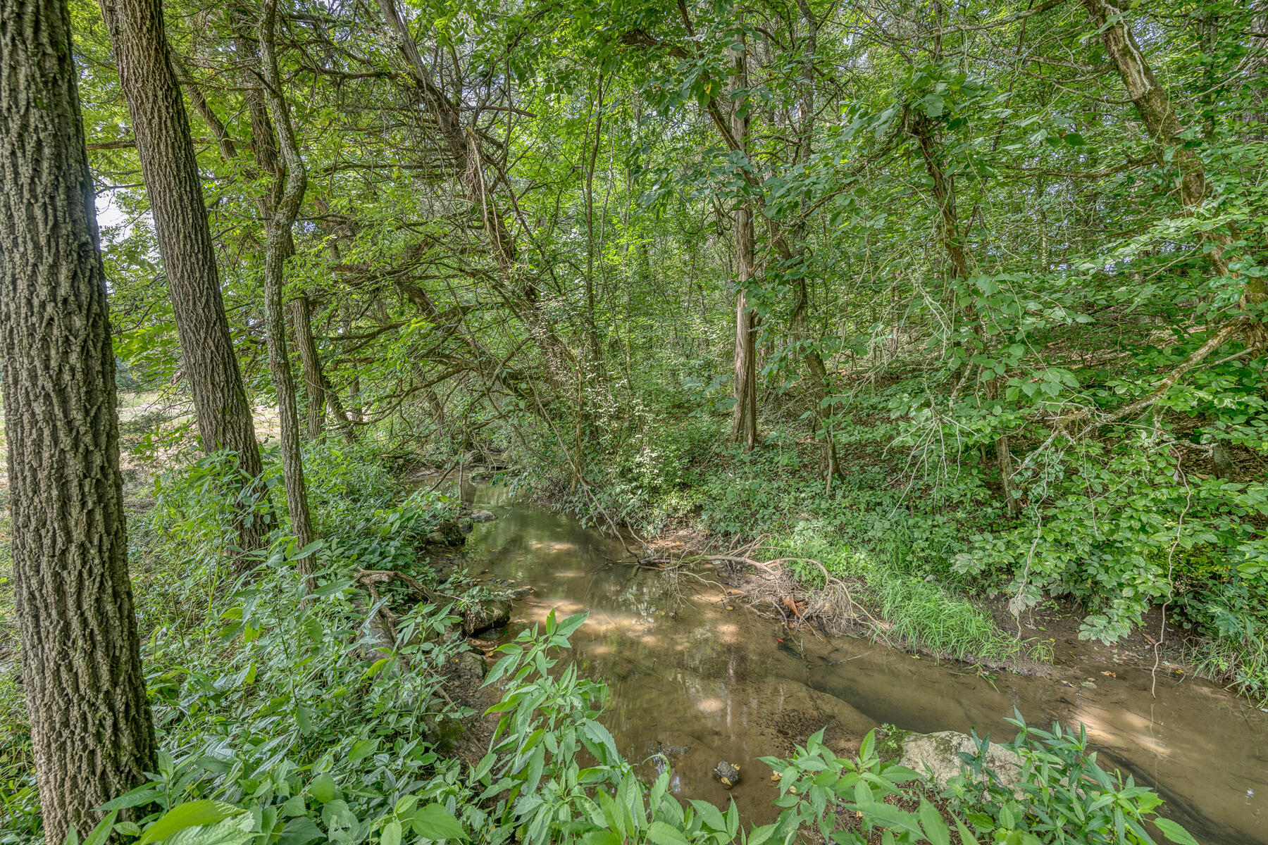 Tbd Gregg Mill Road Greeneville, TN 37743 - Photo 39 of 39 TBD Gregg Mill Rd 29
