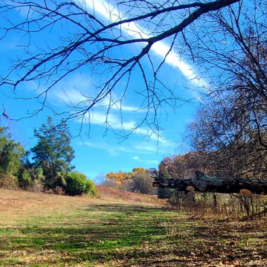 Tbd Gregg Mill Road Greeneville, TN 37743 - Photo 7 of 39 Fall field