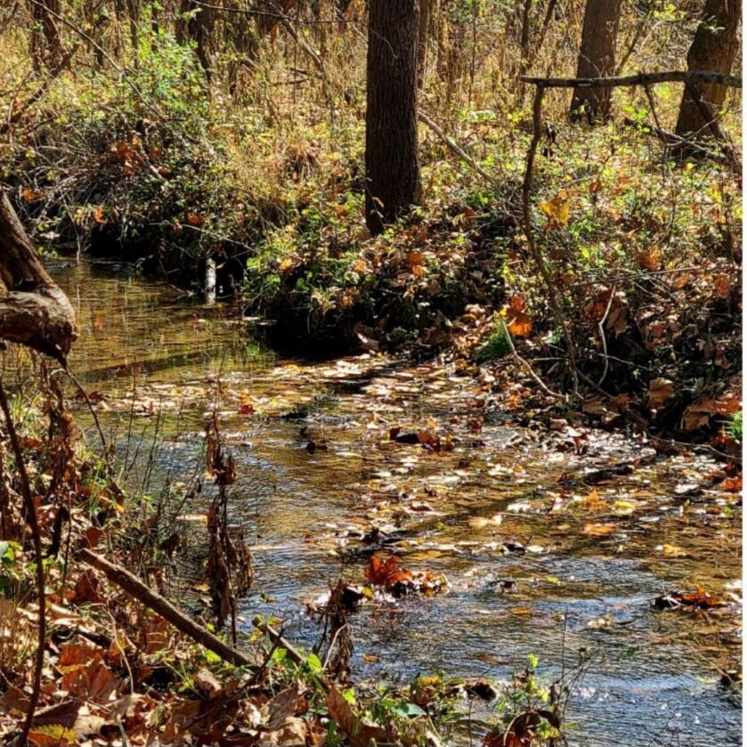 Tbd Gregg Mill Road Greeneville, TN 37743 - Photo 9 of 39 Fall creek