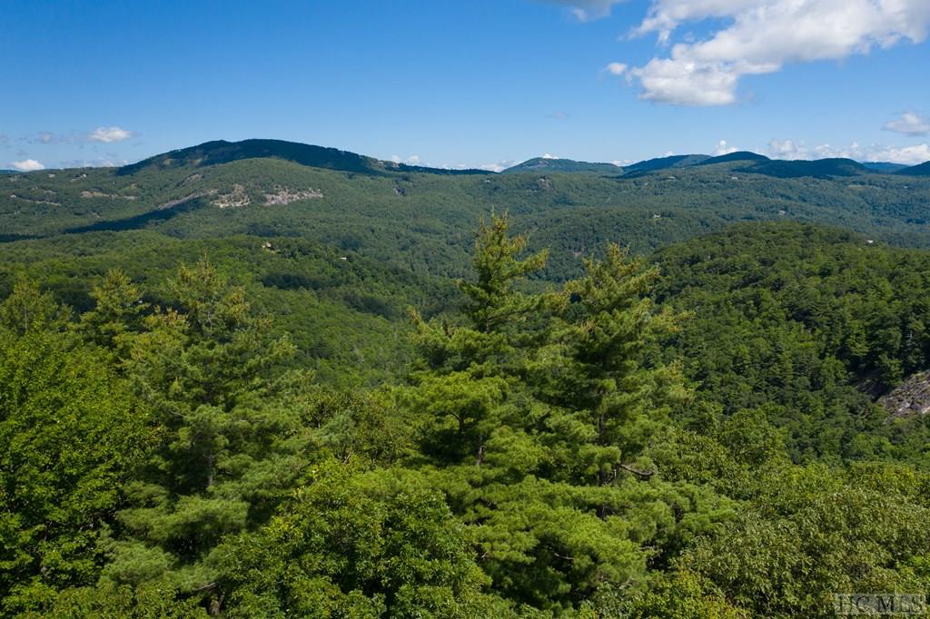 Lot 7 East Ridge Road Cashiers, NC 28717 - Photo 7 of 11 Gallery Image 7