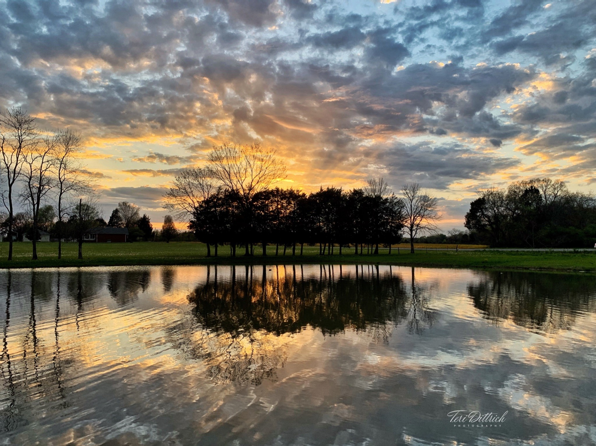 280 Kingdom Road Unionville, TN 37180 - Photo 62 of 65 a lake view with boat and palm trees