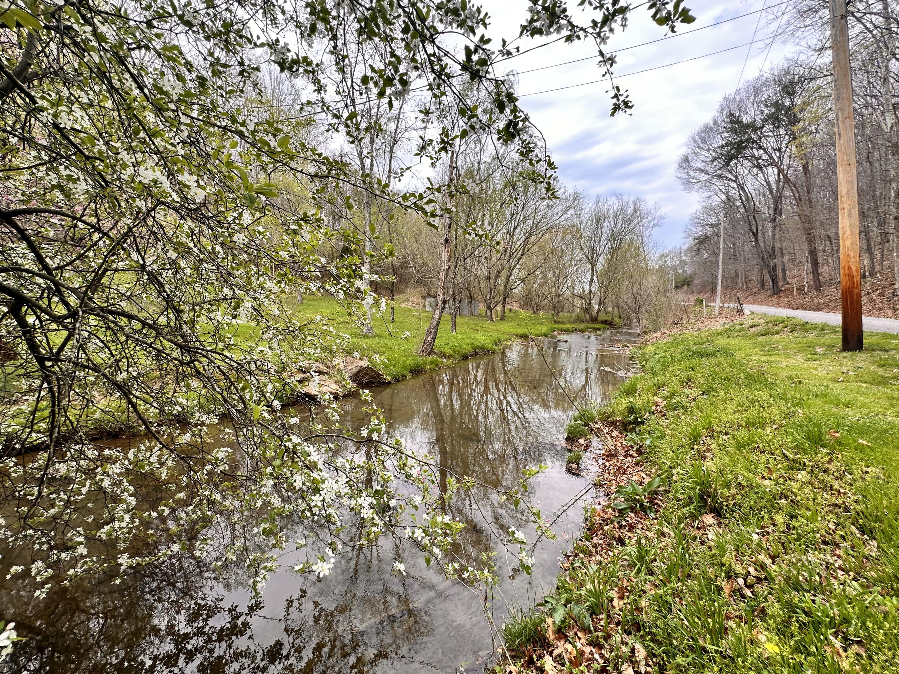 2600 Dulaney Road Mosheim, TN 37818 - Photo 3 of 41 Dulaney Branch!