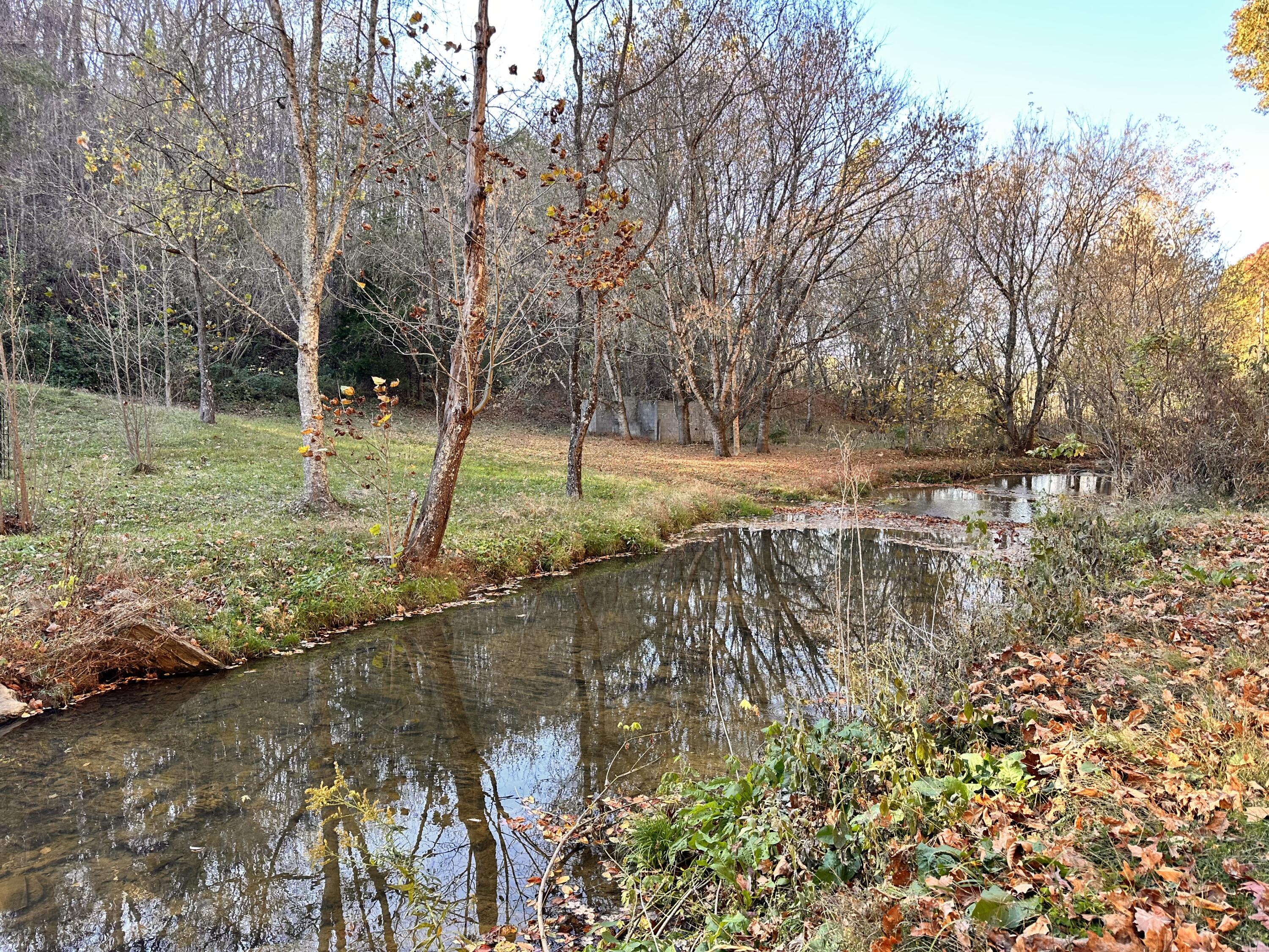 2600 Dulaney Road Mosheim, TN 37818 - Photo 4 of 41 Fall colors!