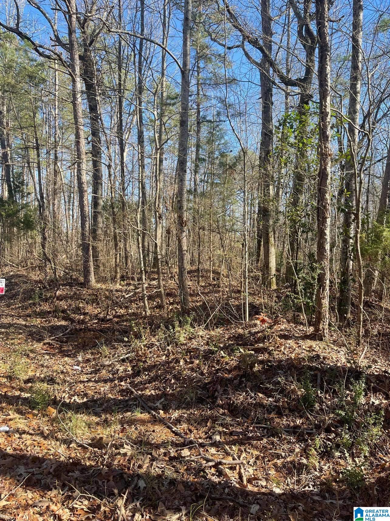 1558 McGaughy Road, Unit 2 Gardendale, AL 35071 - Photo 1 of 1