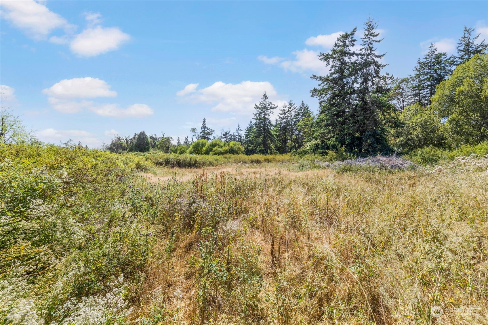 999 Discovery Road Port Townsend, WA 98368 - Photo 11 of 14 a view of a yard and mountain view