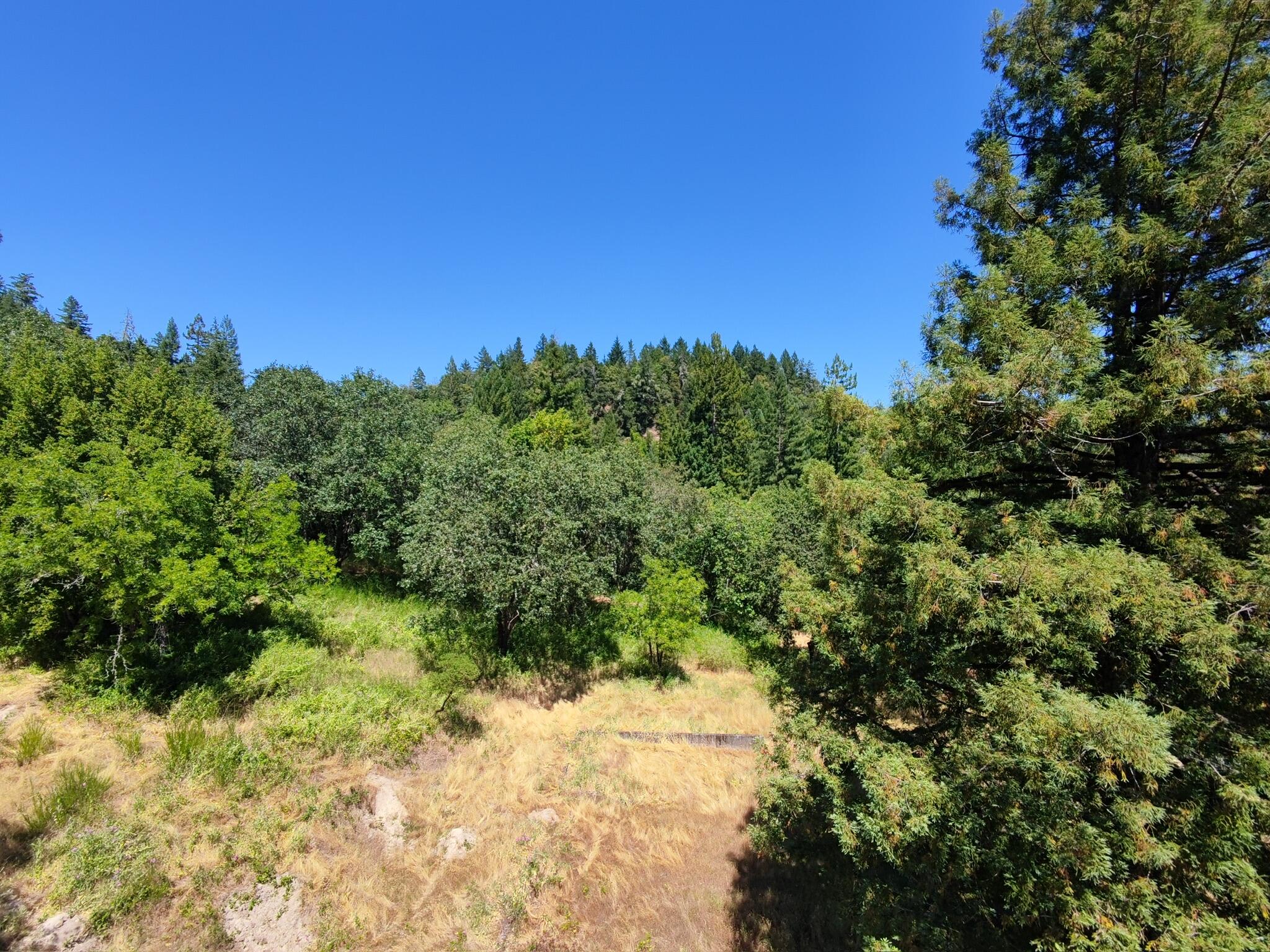 308 West Coast Road Redway, CA 95560 - Photo 48 of 56