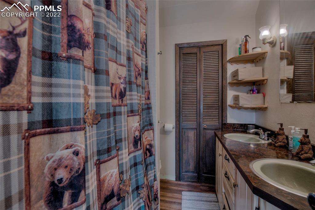 176 Cheyenne Road Alma, CO 80420 - Photo 19 of 50 a bathroom with a sink toilet and shower