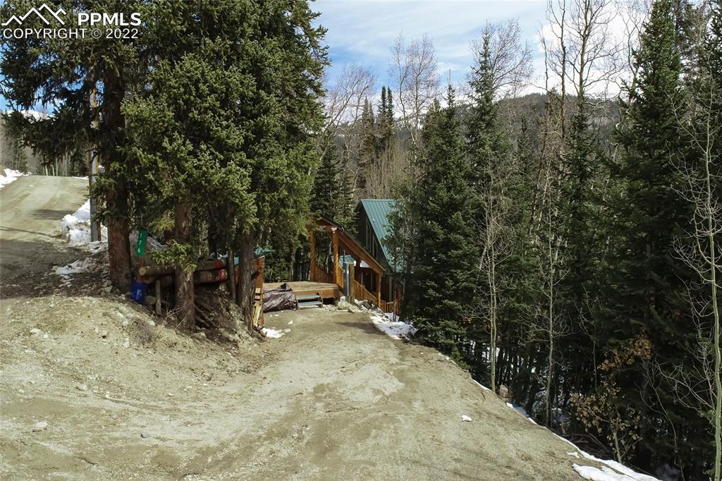 176 Cheyenne Road Alma, CO 80420 - Photo 2 of 50 a view of outdoor space with trees