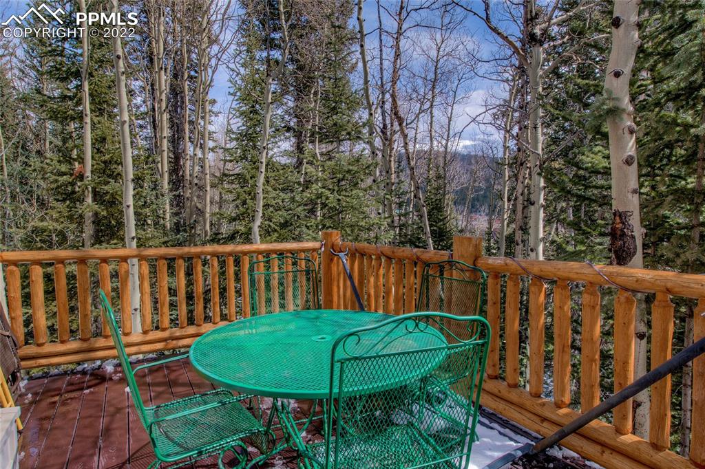 176 Cheyenne Road Alma, CO 80420 - Photo 36 of 50 a view of a chair and table in the backyard