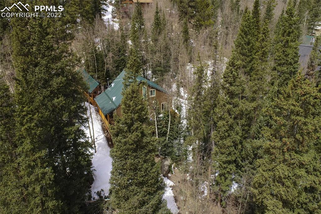 176 Cheyenne Road Alma, CO 80420 - Photo 40 of 50