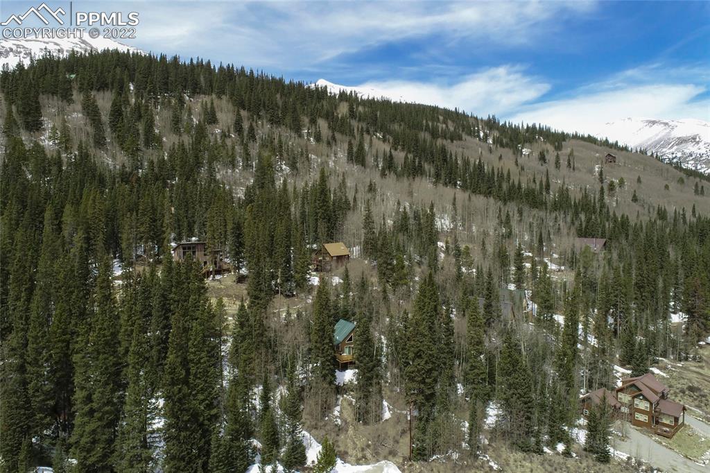176 Cheyenne Road Alma, CO 80420 - Photo 41 of 50 a view of a green field