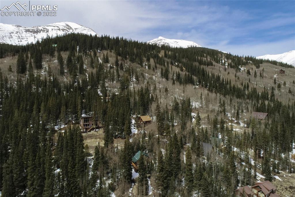 176 Cheyenne Road Alma, CO 80420 - Photo 50 of 50 a view of city and green space