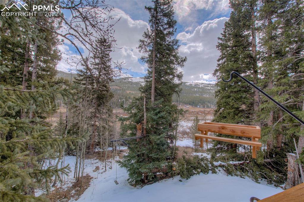 176 Cheyenne Road Alma, CO 80420 - Photo 7 of 50 a backyard of a house with lots of green space