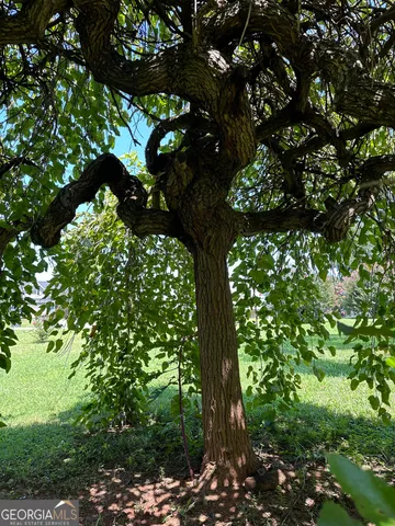 $290,000 | 158 Merrybrook Road, Williamson, GA 30292