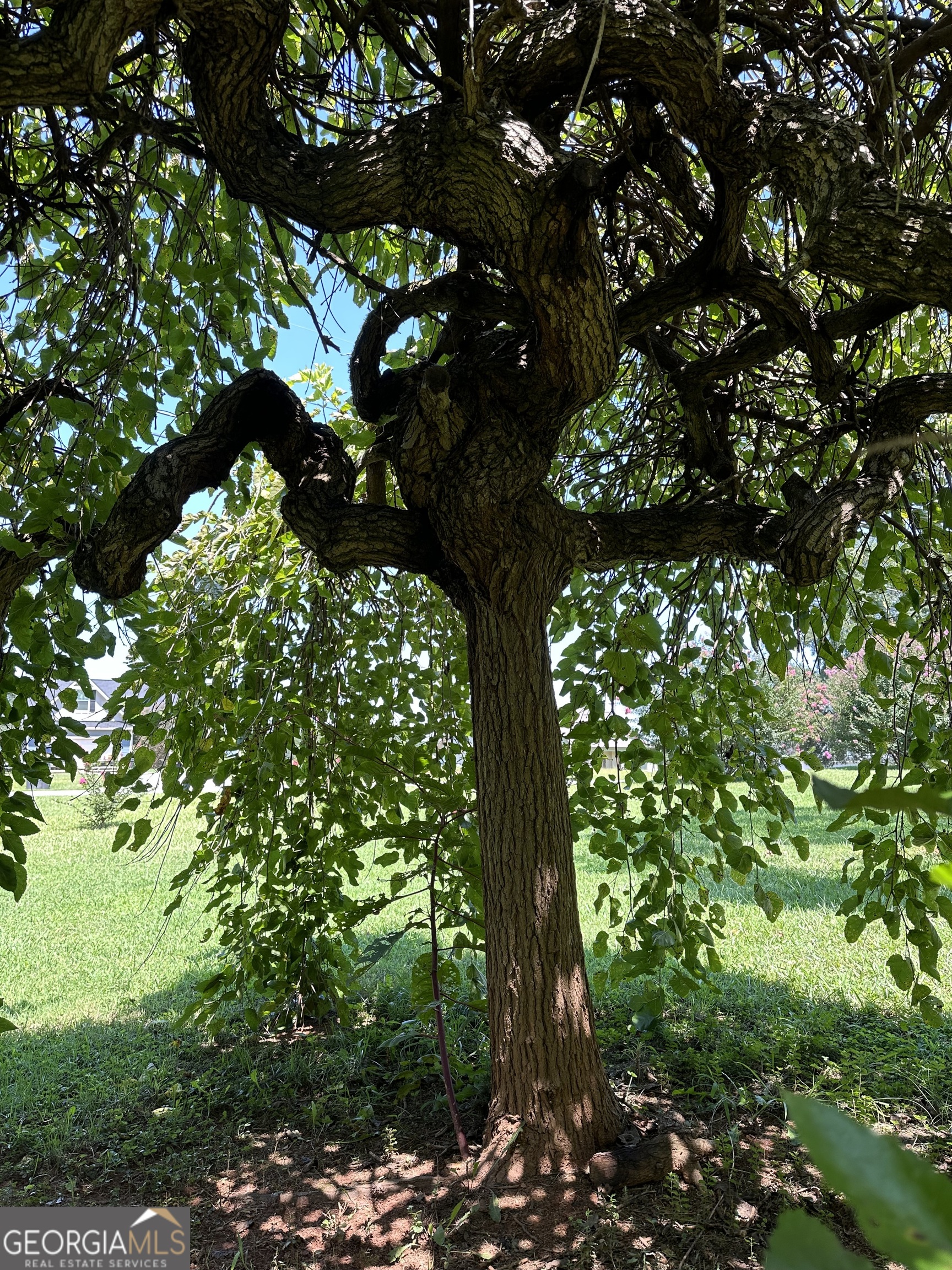 158 Merrybrook Road Williamson, GA 30292 - Photo 39 of 39