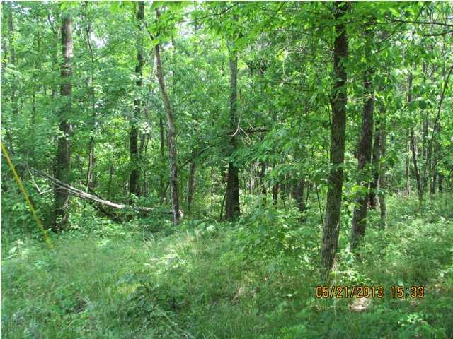 34 Window Rock Road Dunlap, TN 37327 - Photo 5 of 11 Additional Photo