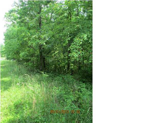 34 Window Rock Road Dunlap, TN 37327 - Photo 6 of 11 Additional Photo