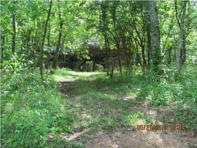 34 Window Rock Road Dunlap, TN 37327 - Photo 7 of 11 Additional Photo
