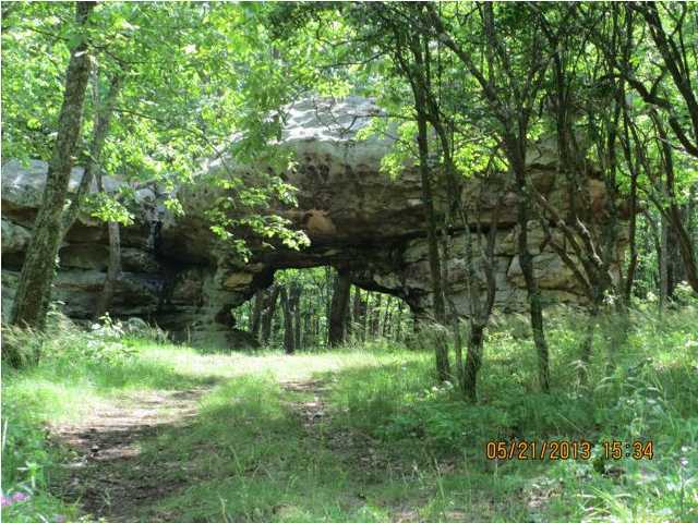 34 Window Rock Road Dunlap, TN 37327 - Photo 8 of 11 Additional Photo