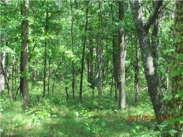 34 Window Rock Road Dunlap, TN 37327 - Photo 10 of 11 Additional Photo