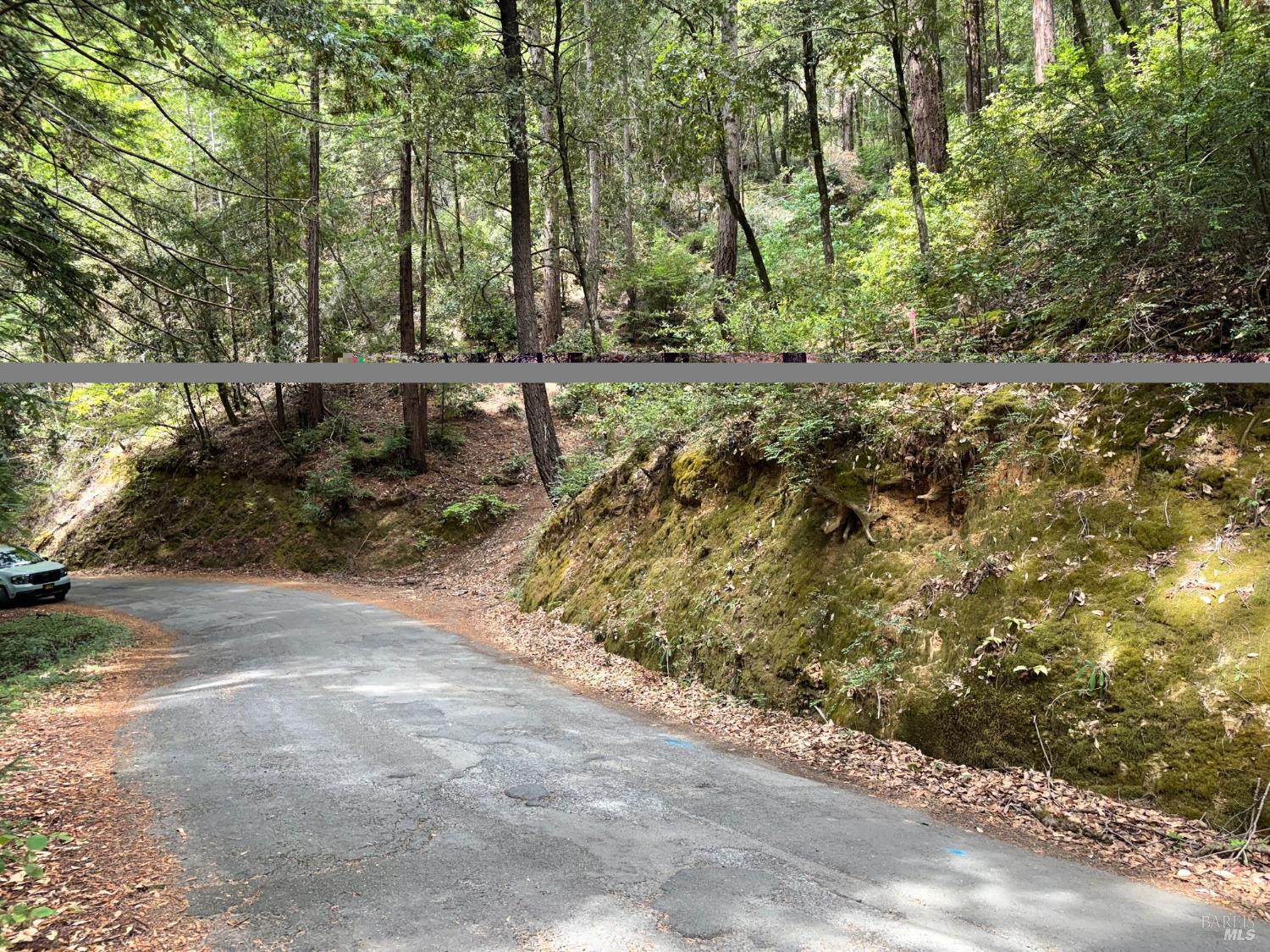 18190 Old Monte Rio Road Guerneville, CA 95446 - Photo 4 of 6 Gallery Image 4