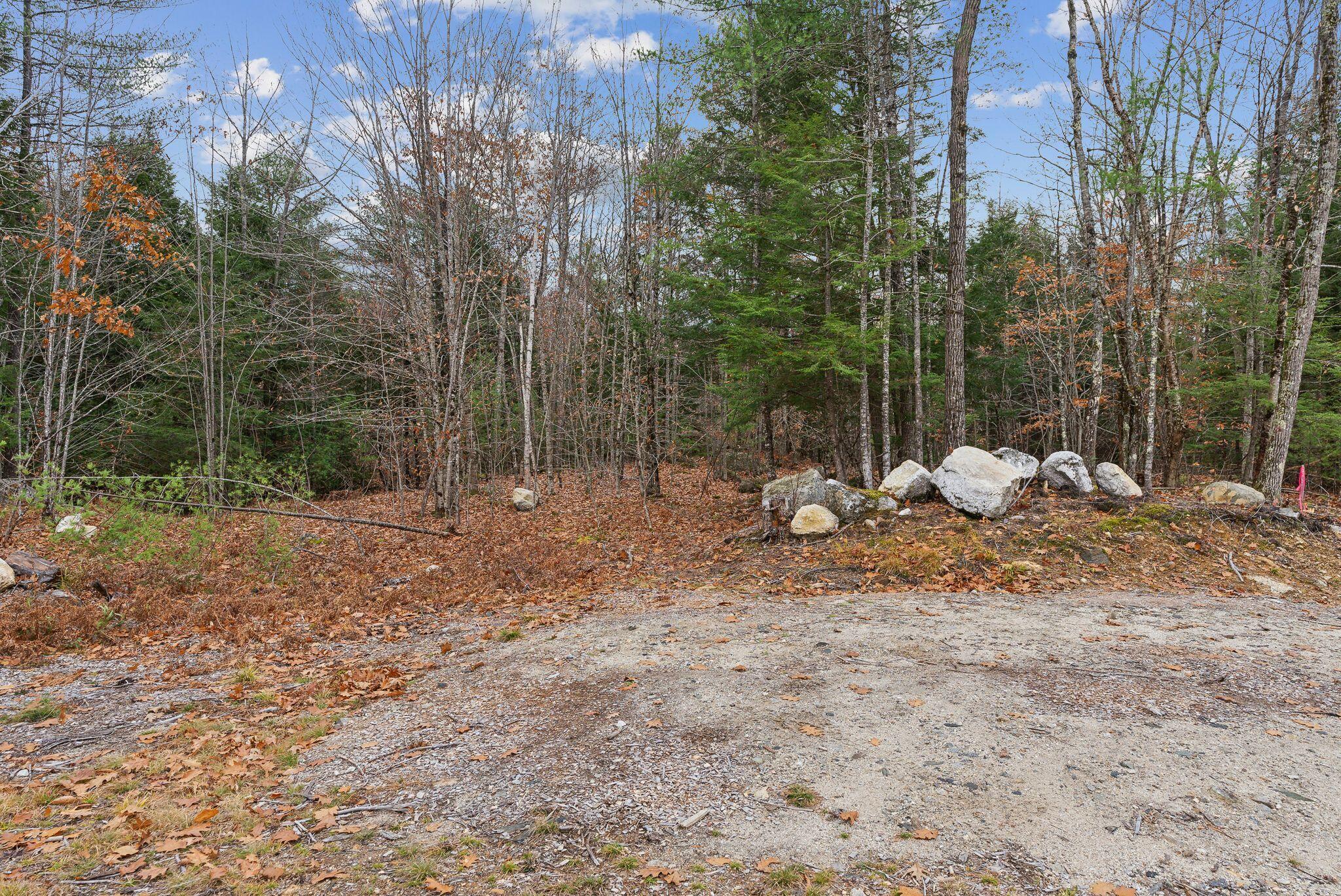 Lot 0 North Raymond Road Gray, ME 04039 - Photo 15 of 17 4_DSC08826