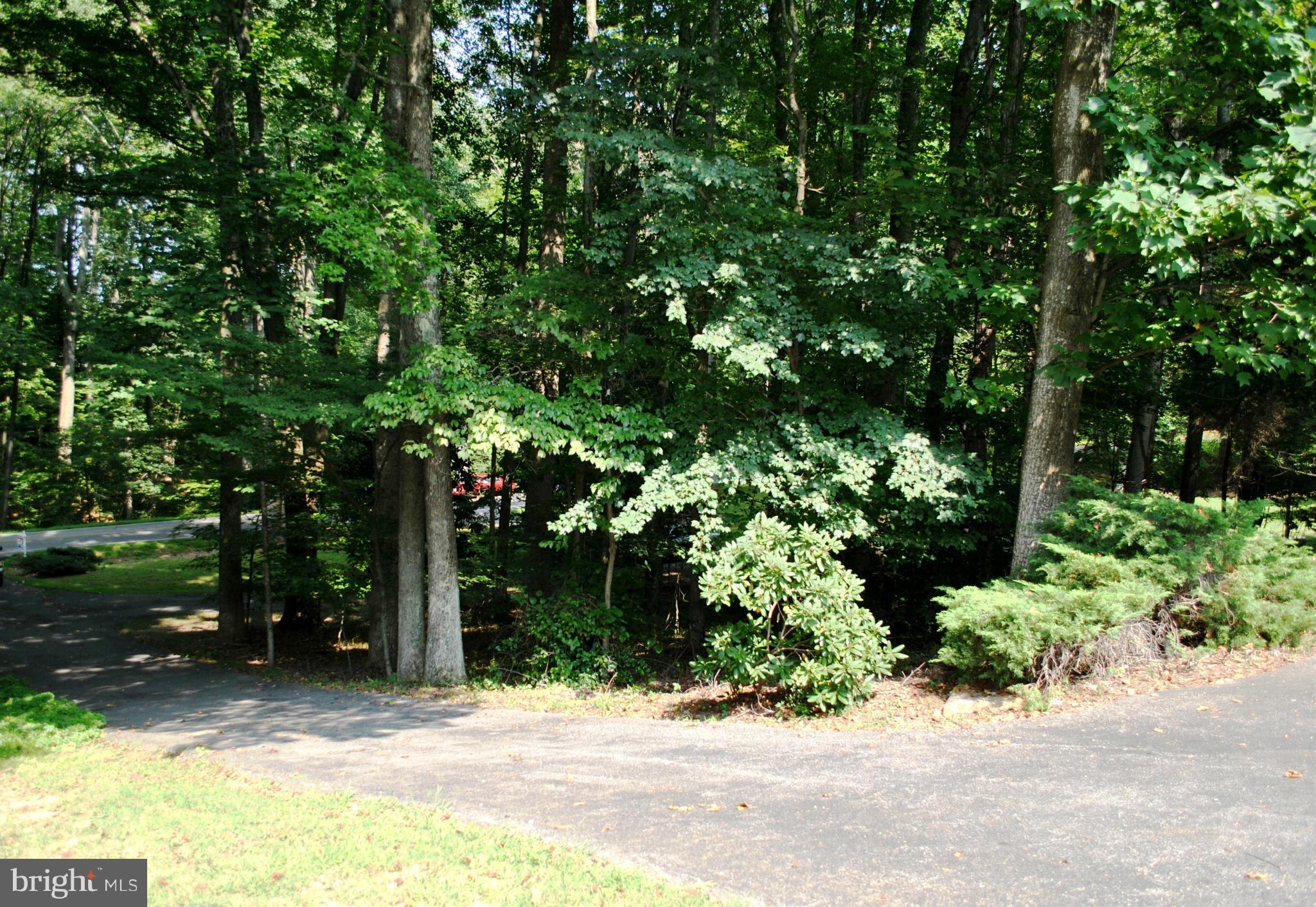 8707 Mitchell Road La Plata, MD 20646 - Photo 29 of 30 View from front door