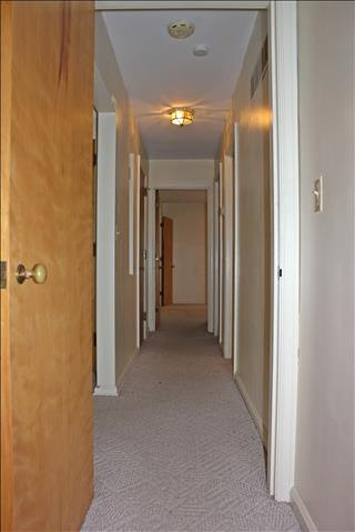 1631 South Custer Road Monroe, MI 48161 - Photo 8 of 18 Hallway View