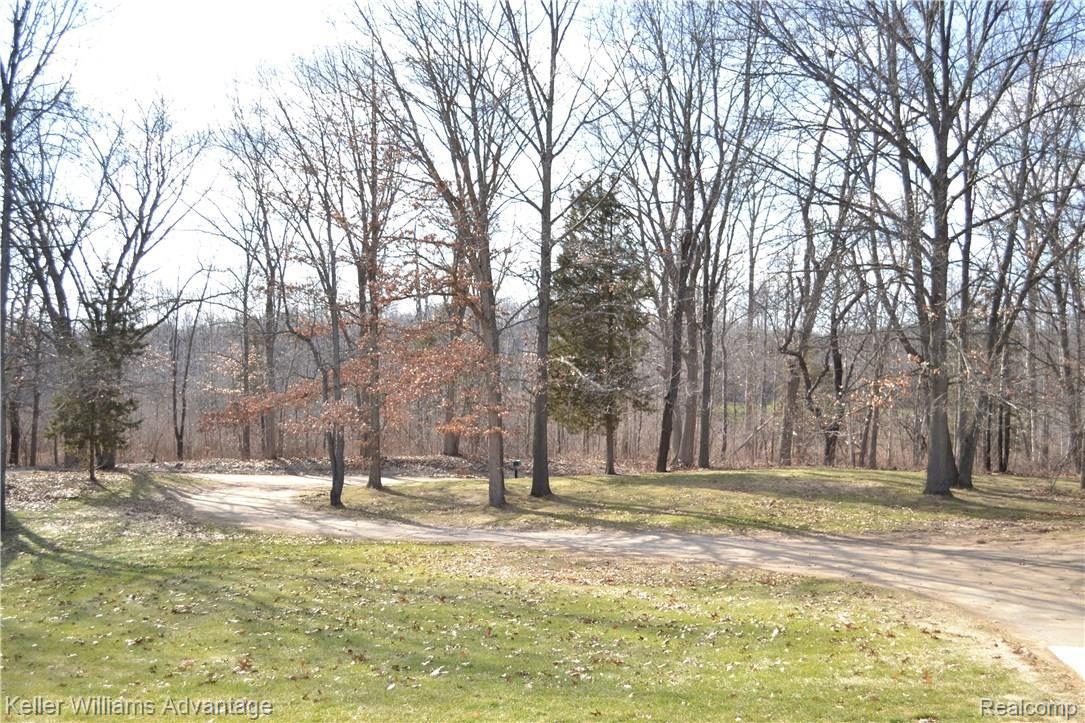 8183 Chambers Road Pinckney, MI 48169 - Photo 17 of 20 View from the front porch.