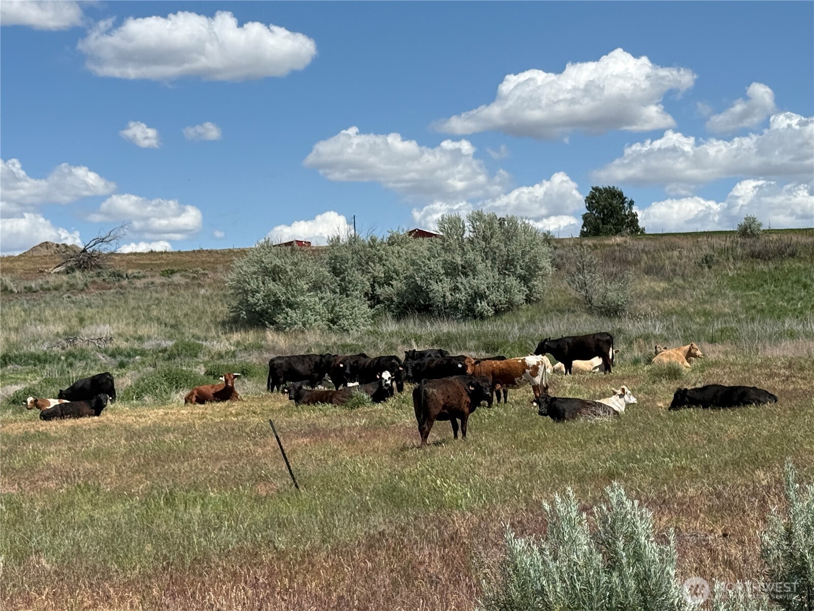 8708 Rd K Northeast Moses Lake, WA 98837 - Photo 24 of 40