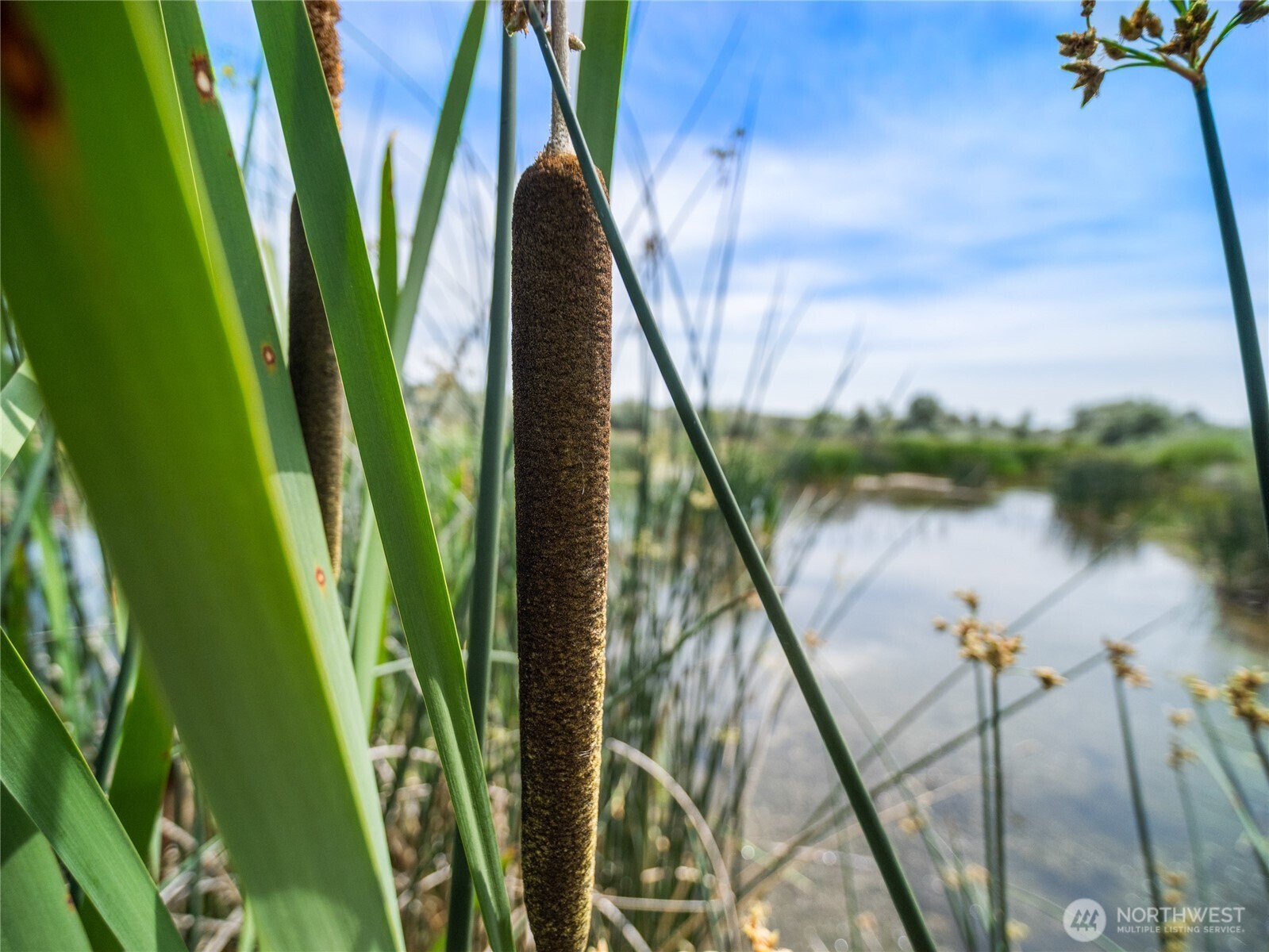8708 Rd K Northeast Moses Lake, WA 98837 - Photo 34 of 40