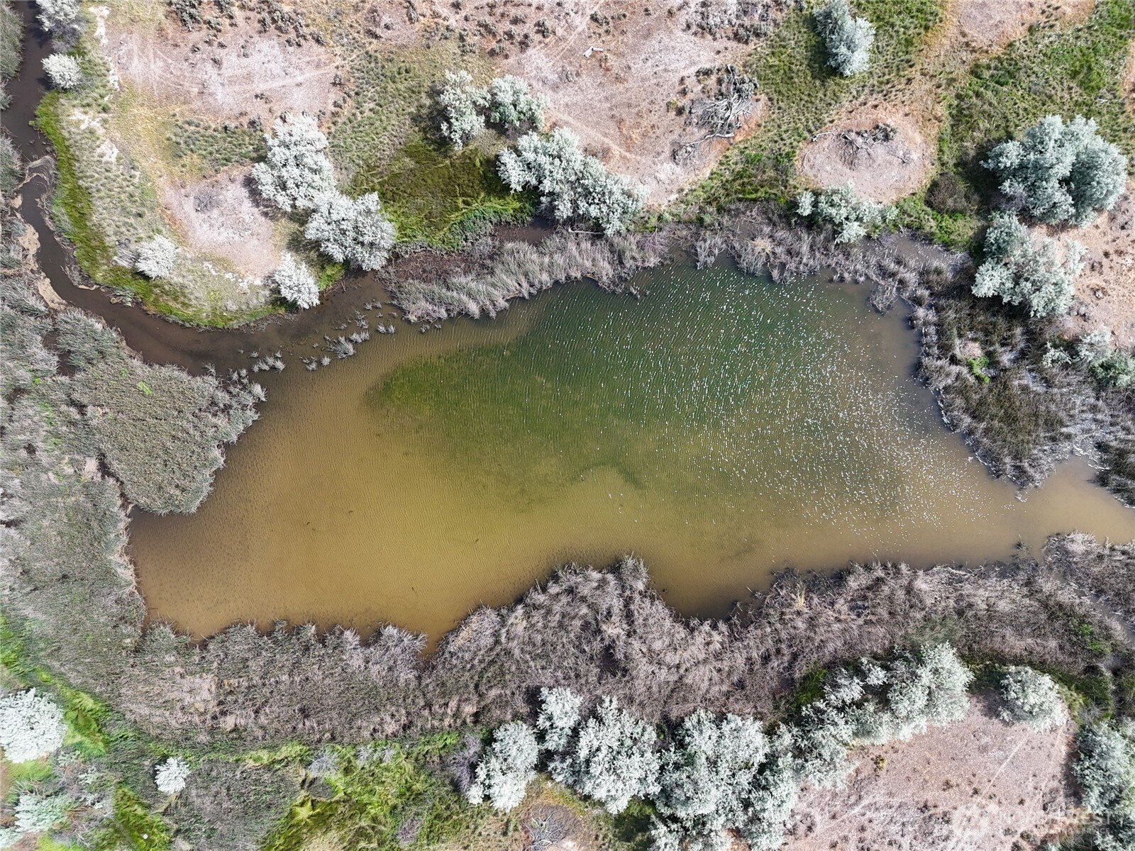8708 Rd K Northeast Moses Lake, WA 98837 - Photo 35 of 40