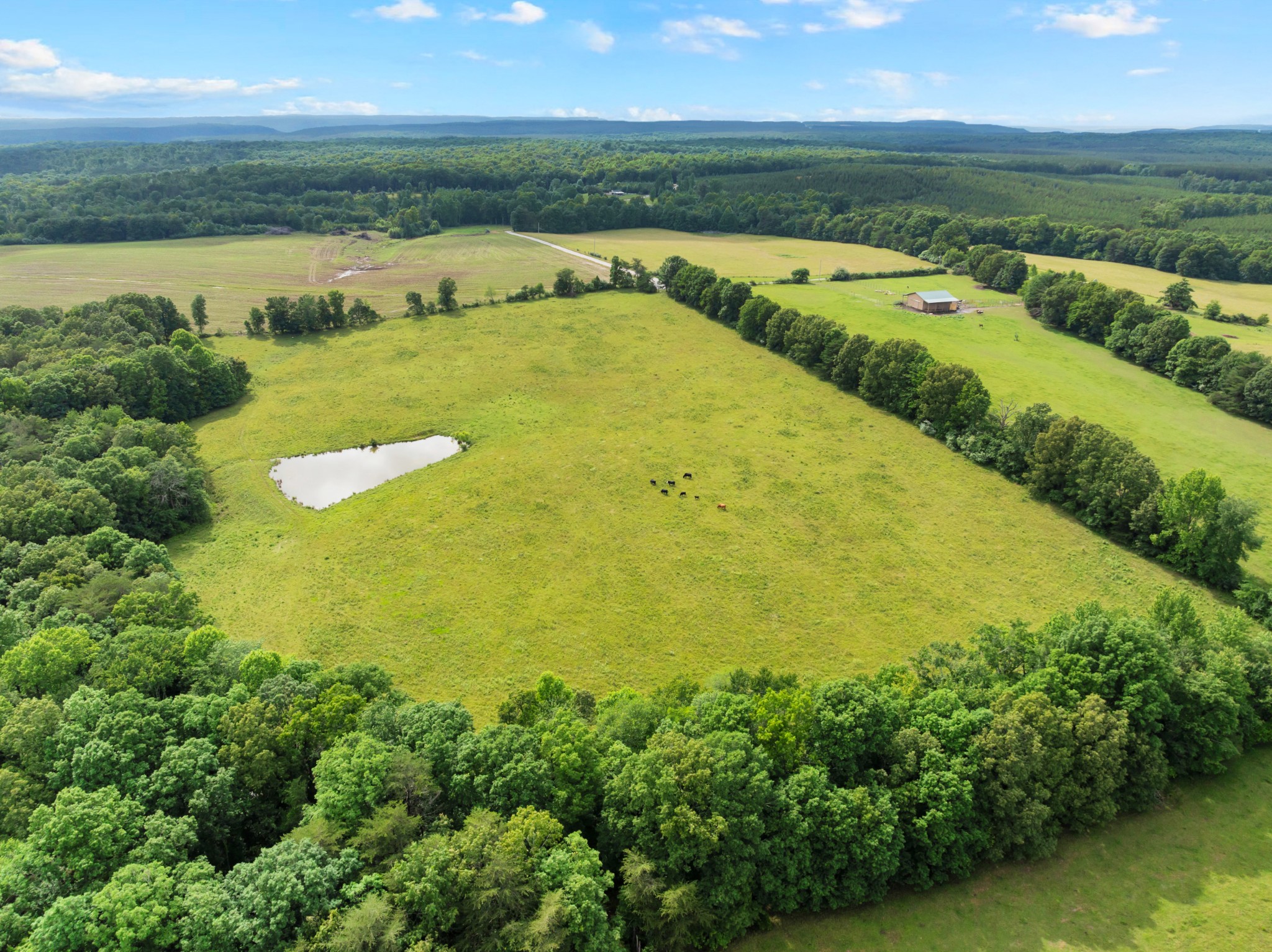 0 Salzer Mountain Road Spencer, TN 38585 - Photo 25 of 28