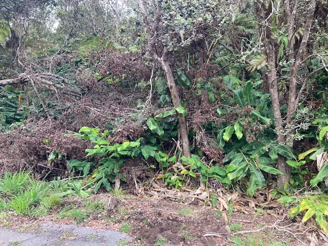 a backyard of a house with lots of green space