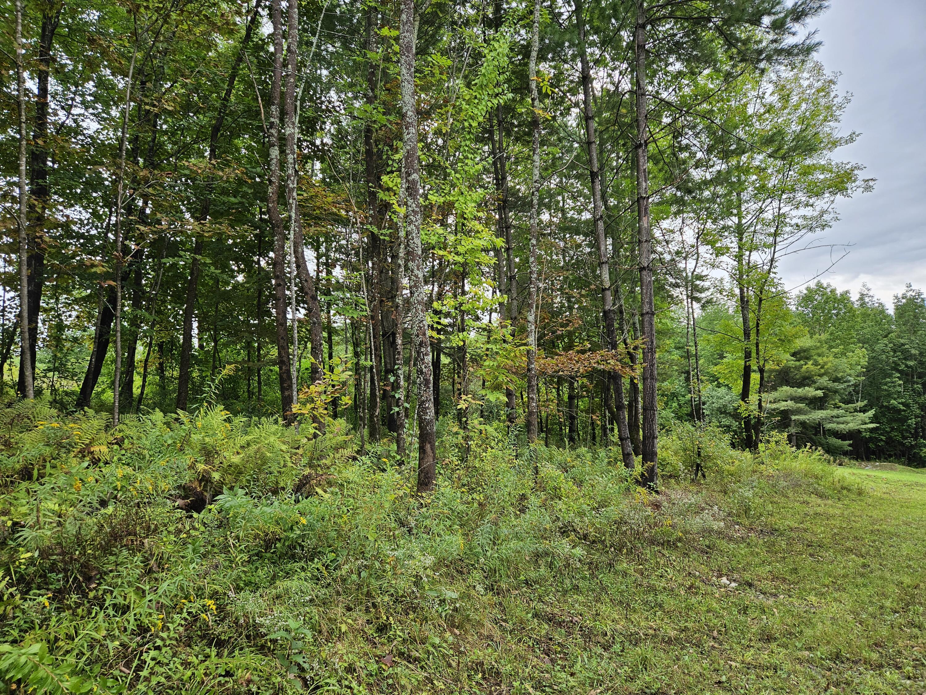 M30-l135-b Pratt Road Wilton, ME 04294 - Photo 28 of 32 Pratt Road Lot