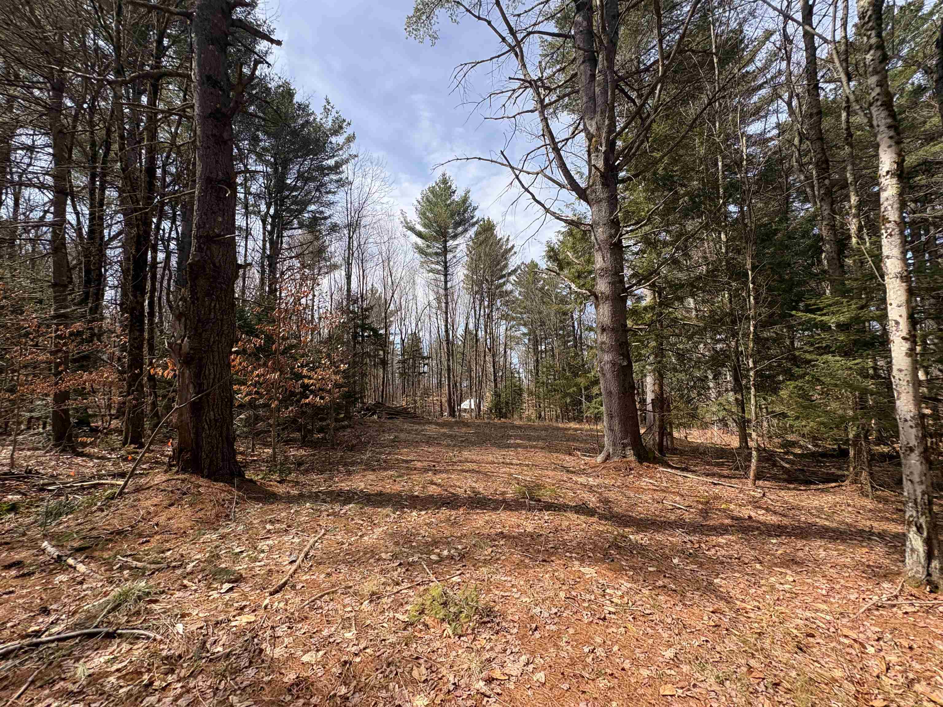 70 Deer Hill Road, Unit LOTS 4 & 9 Whitingham, VT 05361 - Photo 4 of 12