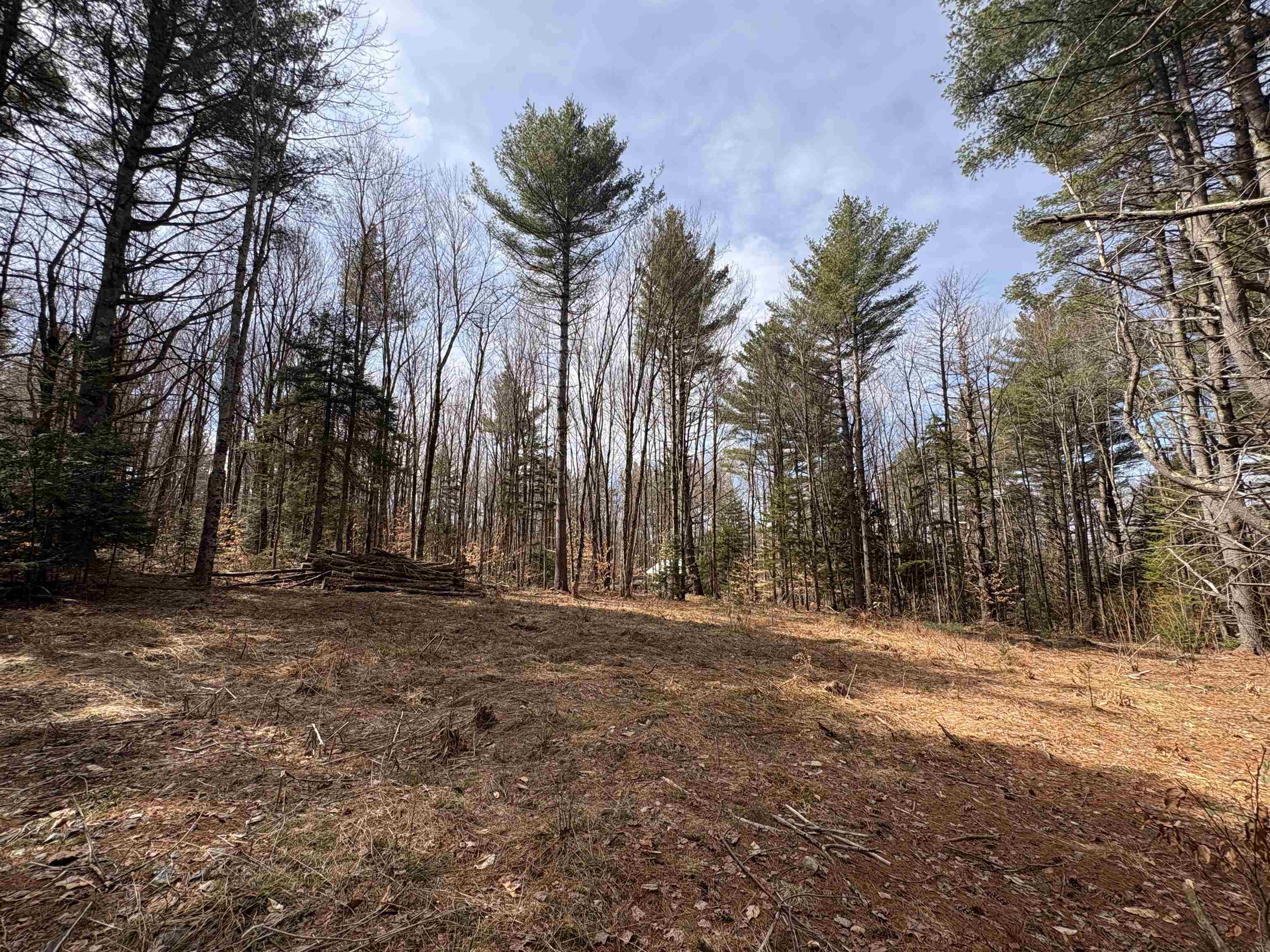 70 Deer Hill Road, Unit LOTS 4 & 9 Whitingham, VT 05361 - Photo 5 of 12