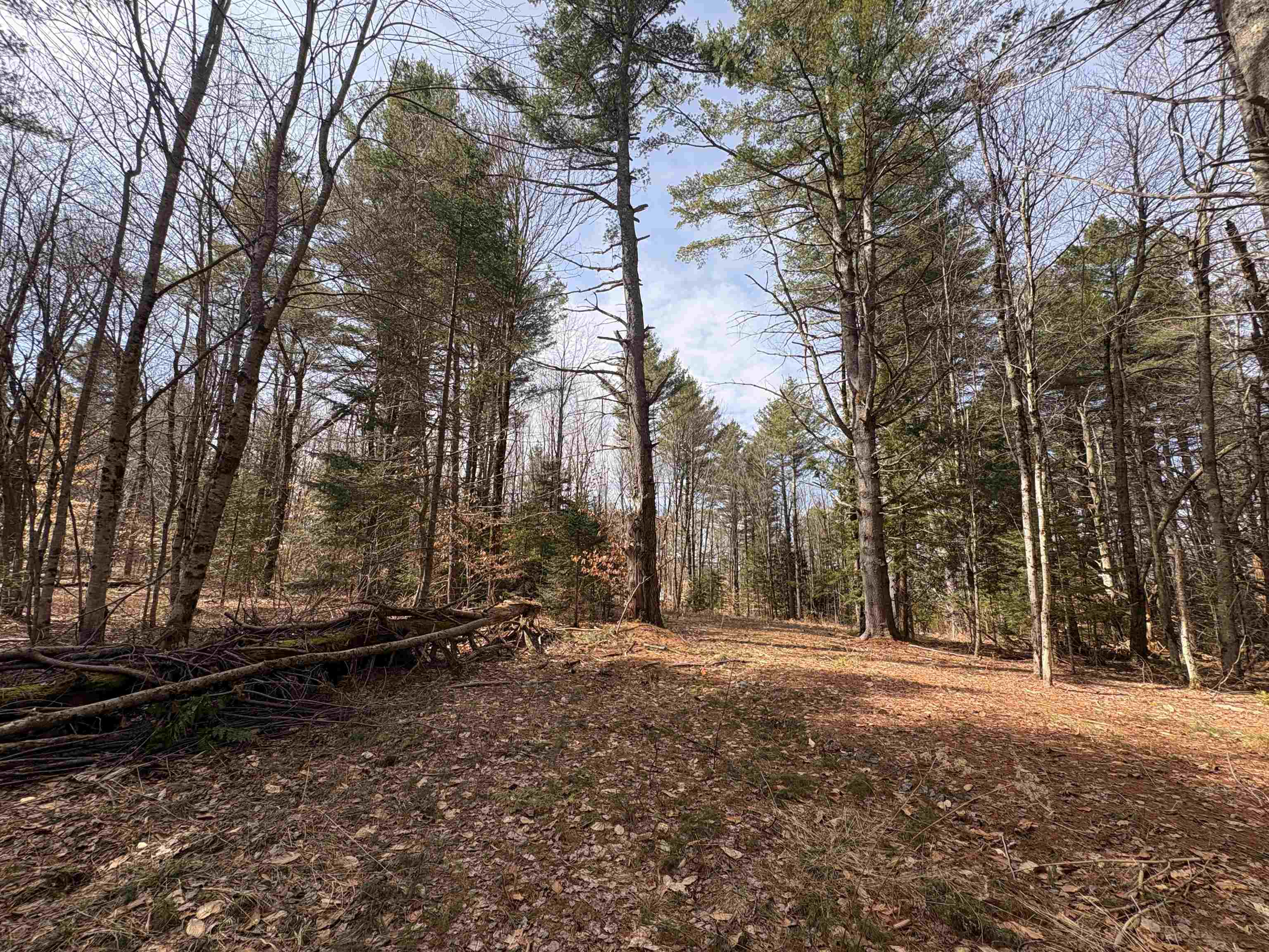 70 Deer Hill Road, Unit LOTS 4 & 9 Whitingham, VT 05361 - Photo 6 of 12