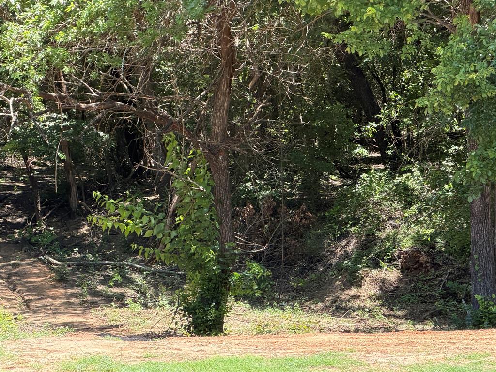 1040 Rays Way Weatherford, TX 76085 - Photo 22 of 23 Treed portion of the property