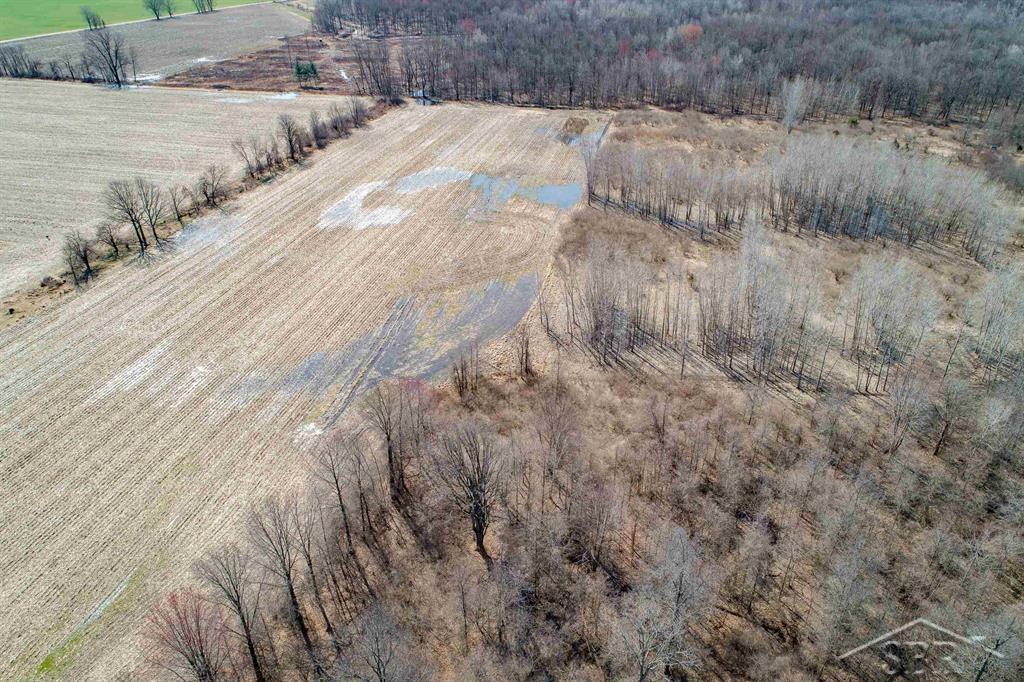 78.23-acres Grabowski Road St. Charles, MI 48655 - Photo 12 of 15 Gallery Image 12