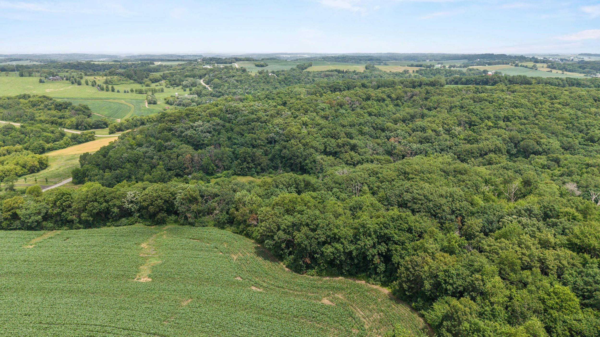146-acres Otto Kerl Road Cross Plains, WI 53528 - Photo 17 of 20